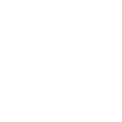 MR Logo